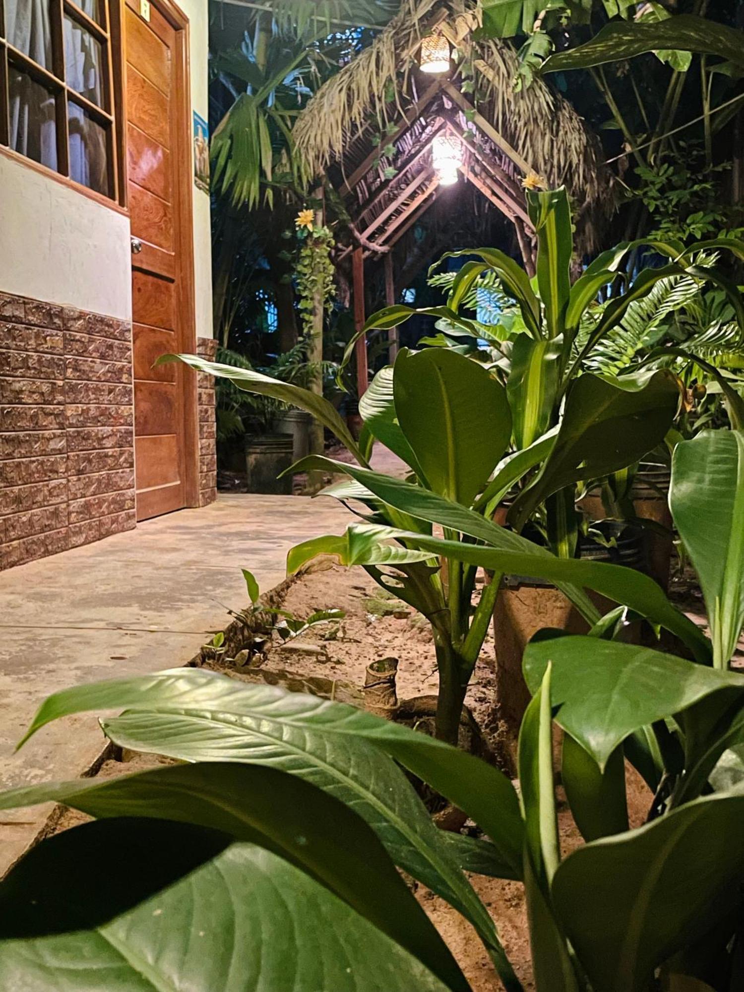 Hospedaje Ecologico Purma Wasi Tarapoto Kültér fotó